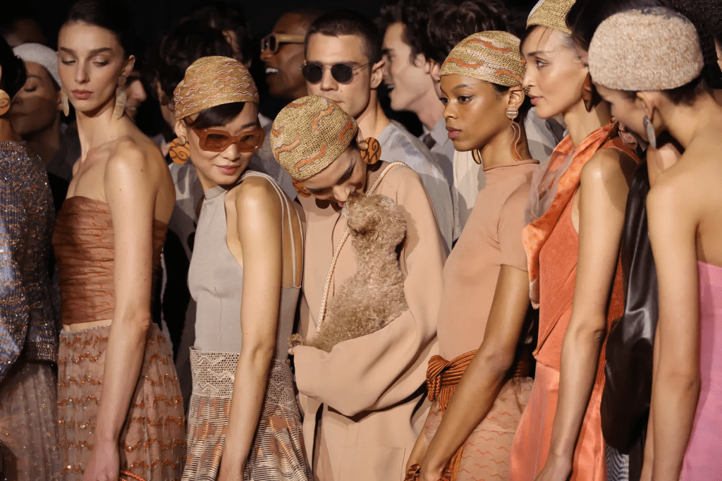 Immagine copertina, sfilata di moda